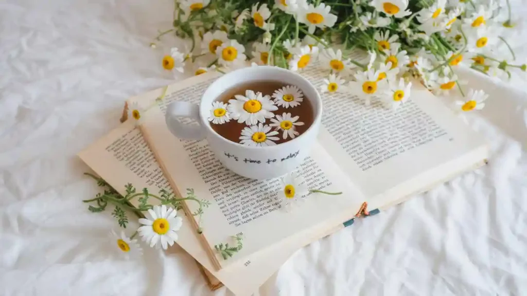 Tasse Kamillentee mit Blüten auf einem aufgeschlagenen Buch, Sinnbild für Ruhe und Entspannung bei Rauschen im Kopf in den Wechseljahren.